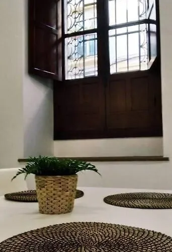 Disfruta De La Historica Apartmán *